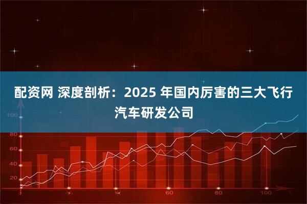 配资网 深度剖析：2025 年国内厉害的三大飞行汽车研发公司