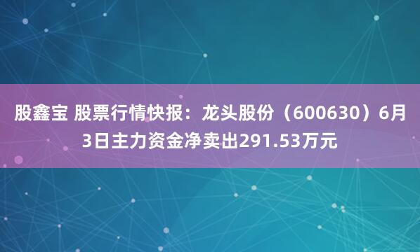 股鑫宝 股票行情快报：龙头股份（600630）6月3日主力资金净卖出291.53万元