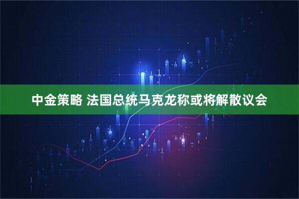 中金策略 法国总统马克龙称或将解散议会